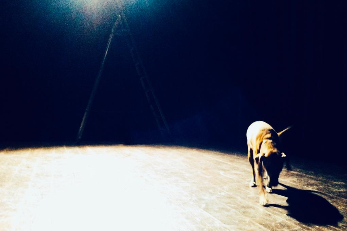 Al momento stai visualizzando Diario di Lina all’Argot Teatro Studio di Roma